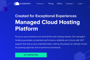 cloudways-web-hosting (1)